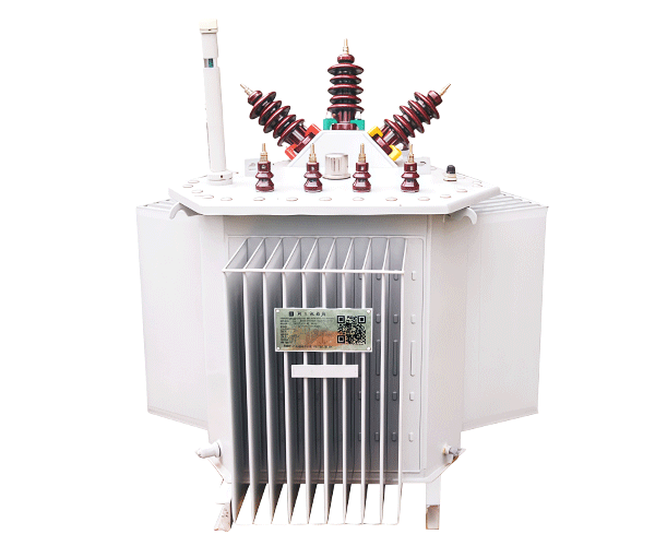 oil-immersed-transformer